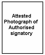 photo.jpg (8259 bytes)